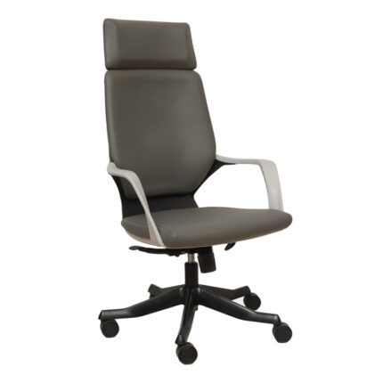 صندلی مدیرتی آپولو